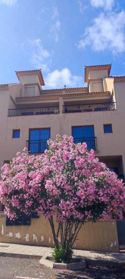 Casa Banana Sunset Apartment Santa Cruz de Tenerife Exterior photo